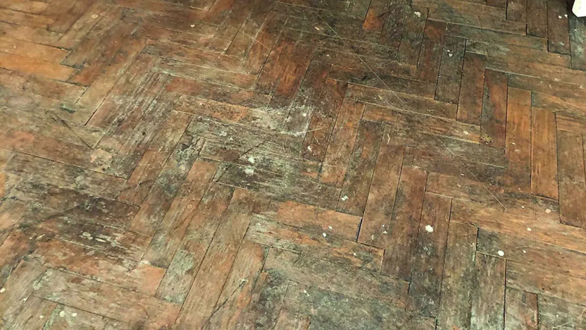 Vergleichsbild vorher